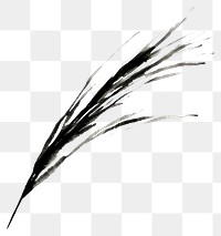 PNG  Grass black line ink.