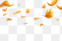 PNG Falling maple leaf effect, transparent background