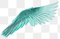 PNG Angle wing turquoise bird white background.