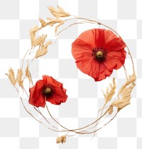 PNG Real Pressed poppy flower wreath petal.