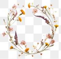 PNG Real Pressed spring flowers wreath plant petal.