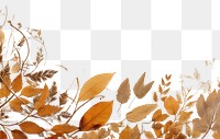 PNG Real Pressed autumn leaves border backgrounds textured painting.