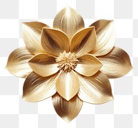 PNG Gold magnolia flower brooch plant white background.