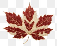 PNG Maple leaves plant leaf tree.