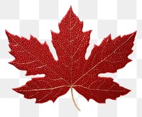 PNG Maple leaves plant leaf tree.