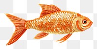 PNG Orange fish goldfish animal.