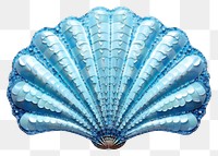 PNG Blue sea shell invertebrate accessories turquoise.