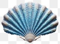 PNG Blue sea shell clam invertebrate seashell.