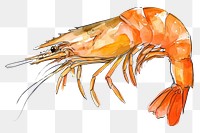 PNG  Prawn lobster seafood animal.