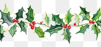 PNG Holly pattern plant leaf.
