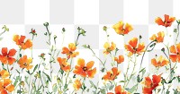 PNG Orange flowers backgrounds pattern plant.