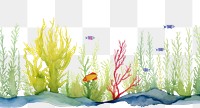 PNG Seaweed and fish aquarium outdoors nature.