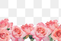 PNG Pink roses backgrounds flower petal.