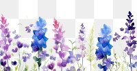 PNG Purple and blue flowers backgrounds lavender outdoors.