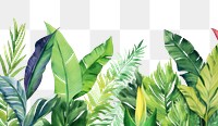 PNG Tropical leaves backgrounds outdoors tropics