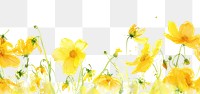PNG Yellow flowers backgrounds outdoors nature.