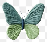 PNG  Felting fabric wallpaper butterfly insect animal art.