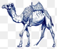 PNG  Antique of camel drawing animal mammal.
