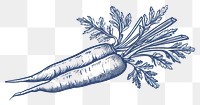 PNG  Antique of carrot vegetable drawing sketch.