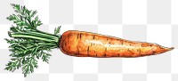 PNG  Antique of carrot vegetable plant food.