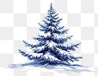 PNG  Antique of christmas tree drawing sketch plant.