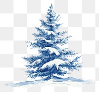 PNG  Antique of christmas tree drawing sketch plant.
