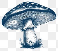 PNG  Antique of mushroom drawing sketch fungus