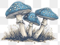 PNG  Antique of mushroom drawing sketch fungus.