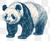 PNG  Antique of panda drawing sketch wildlife.