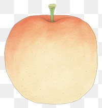 PNG  Apple food freshness drawing.