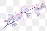 PNG Cherry blossom flower plant cherry blossom chandelier.
