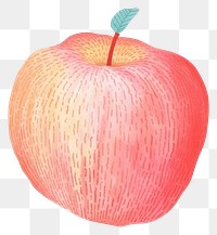 PNG  Crayon texture illustration of red apple fruit plant food.