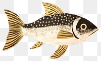 PNG  Fish ripped paper animal trout white background.