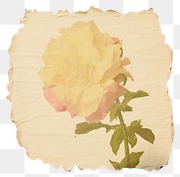 PNG  Flower ripped paper petal plant rose.