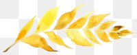 PNG  Gold leaf nature plant white background.