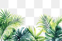 PNG  Palm leaves border nature backgrounds outdoors.