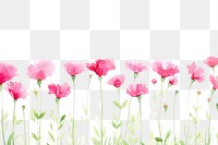 PNG  Pink flower backgrounds outdoors blossom.