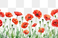 PNG  Poppy backgrounds flower nature.