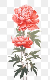 PNG  Chinese seamless peony flower plant rose.