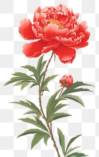 PNG  Chinese seamless peony vintage flower plant rose