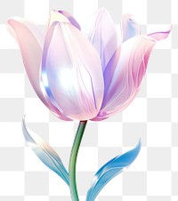 PNG Tulip flower petal plant art.