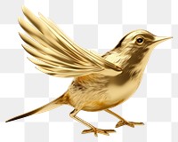 PNG  Bird animal beak gold.