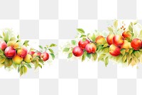 PNG  Apple border fruit plant food.
