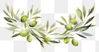 PNG Garland Olive Swags olive plant food.