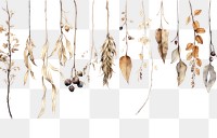 PNG Painting of hanging dry botanical plant leaf produce.