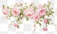 PNG Garland rose blossom pattern flower