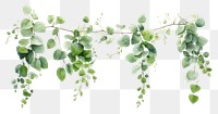 PNG Garland three plant herbs leaf.