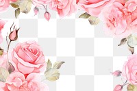 PNG Painting roses border pattern flower nature.