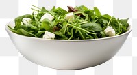 PNG Pottery salad bowl vegetable arugula produce.