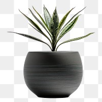 PNG Modern planter pottery vase leaf.